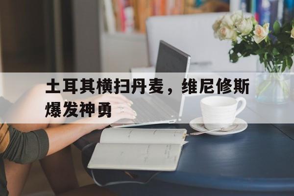 关于土耳其横扫丹麦，维尼修斯爆发神勇的信息