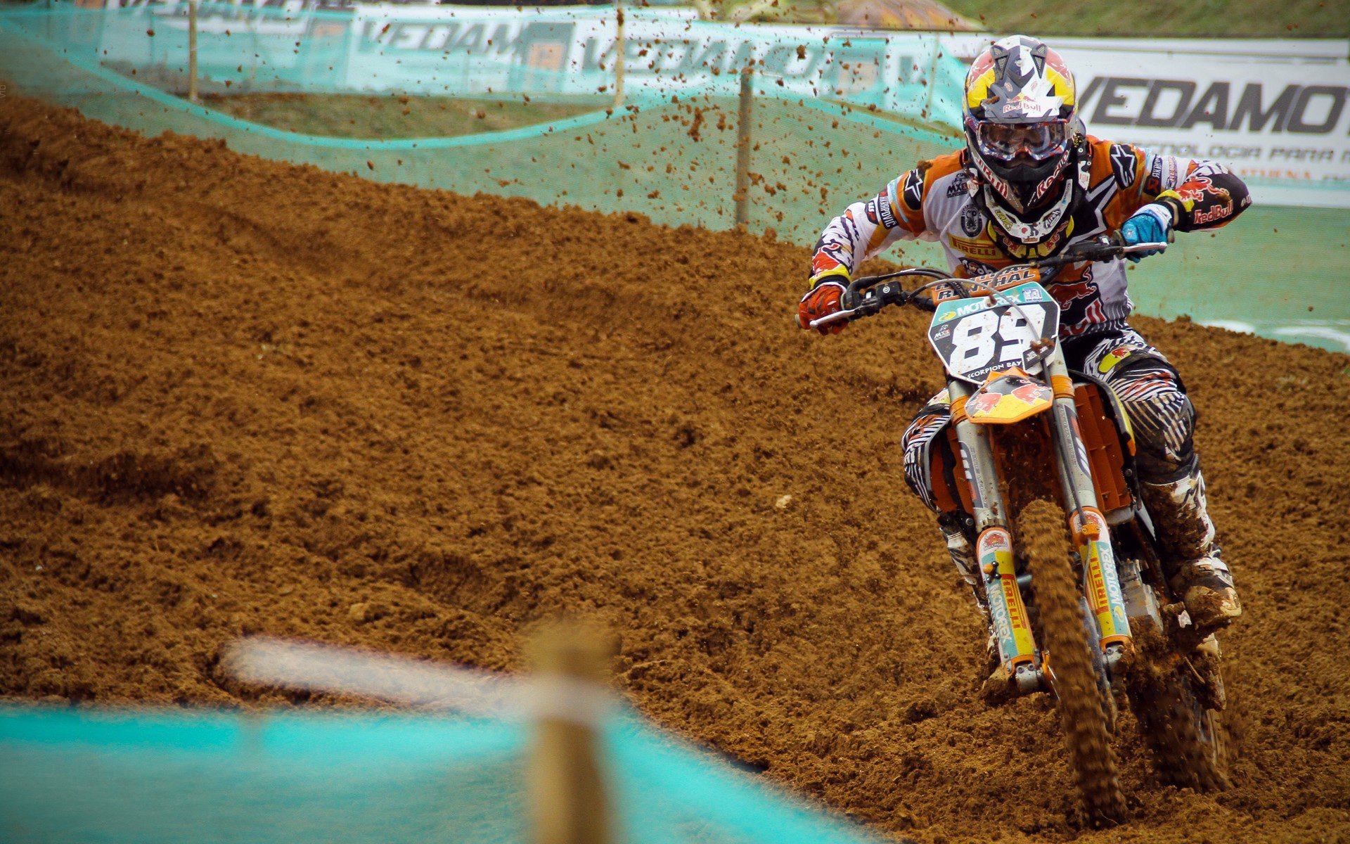 北境之巅的试炼,塔图姆的爆发与猛龙王朝的最后一舞